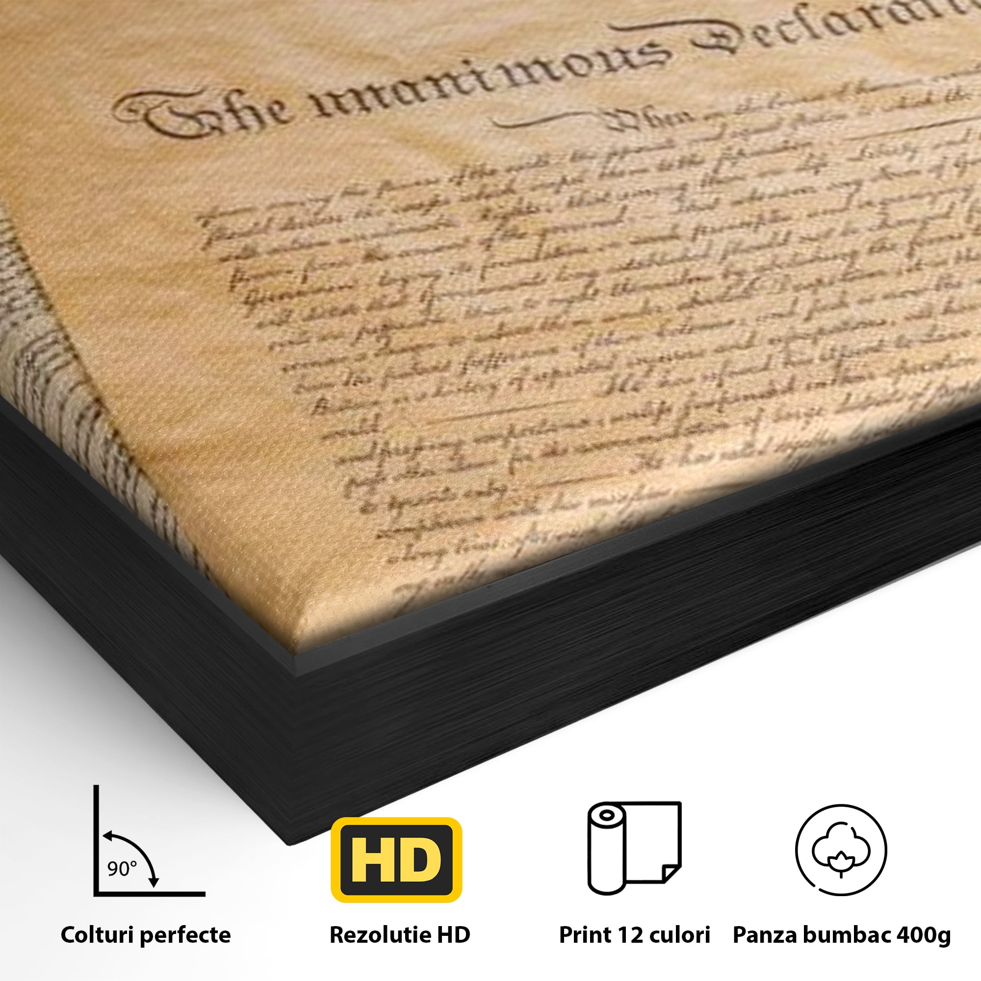 Detaliu al suprafetei: tablou canvas cu steag si documente istorice, in rama de aluminiu negru