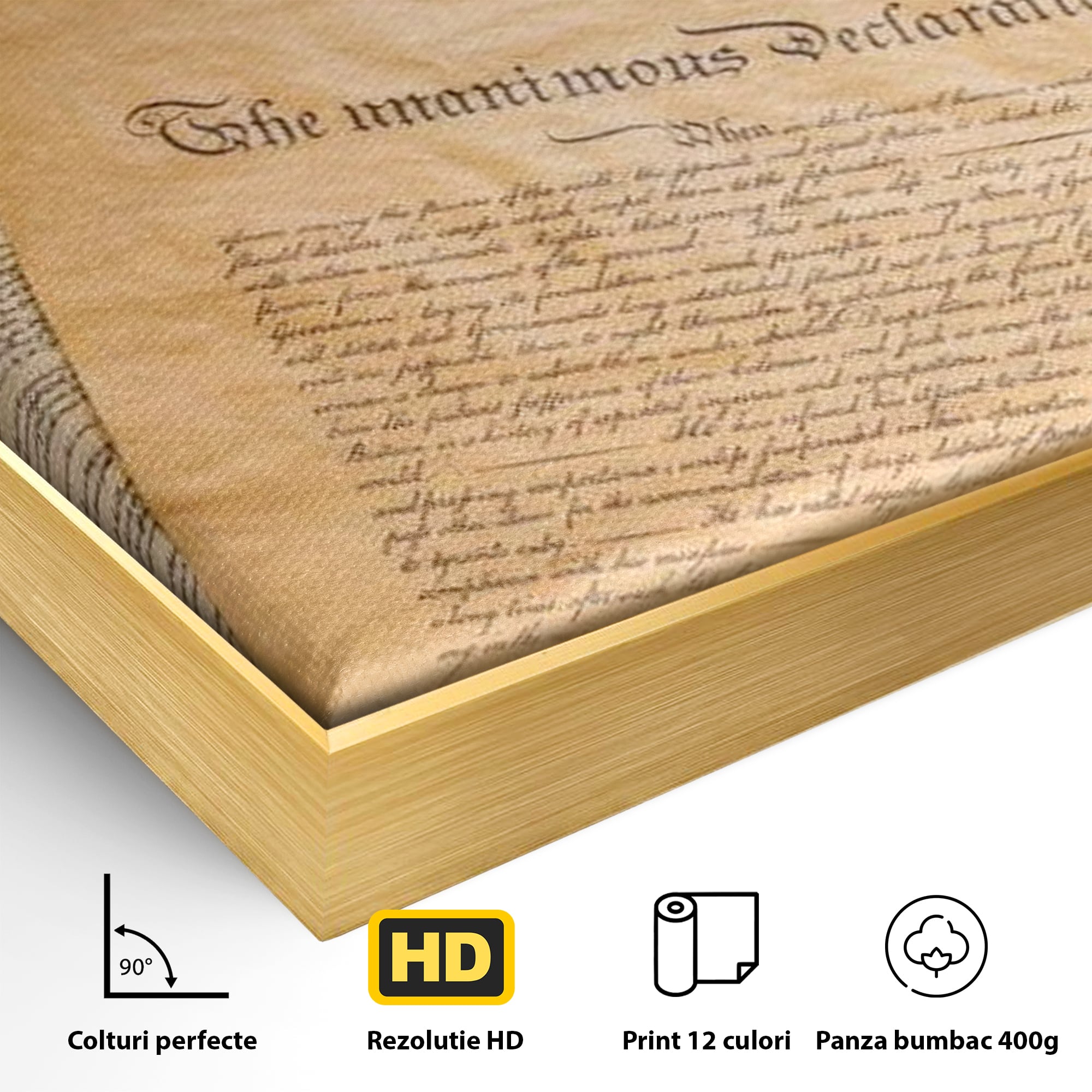 Detaliu al suprafetei: tablou canvas cu steag si documente istorice, in rama de aluminiu auriu