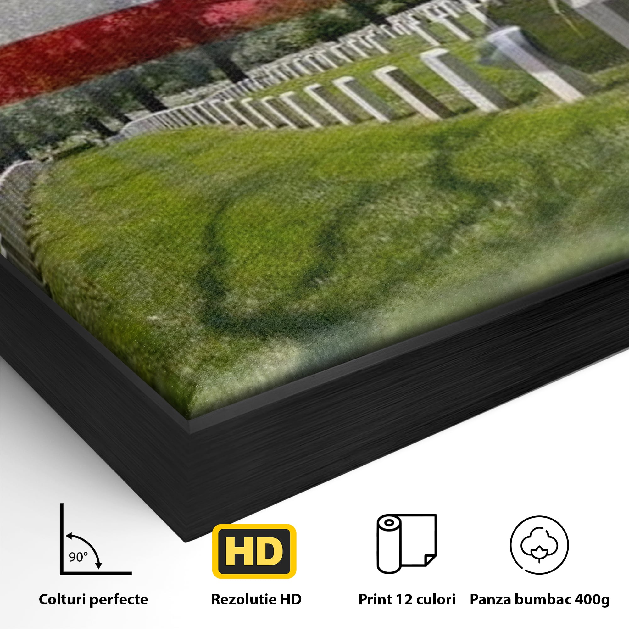 Detaliu al suprafetei: tablou canvas cu silueta de soldat si steagul sua, in rama de aluminiu negru