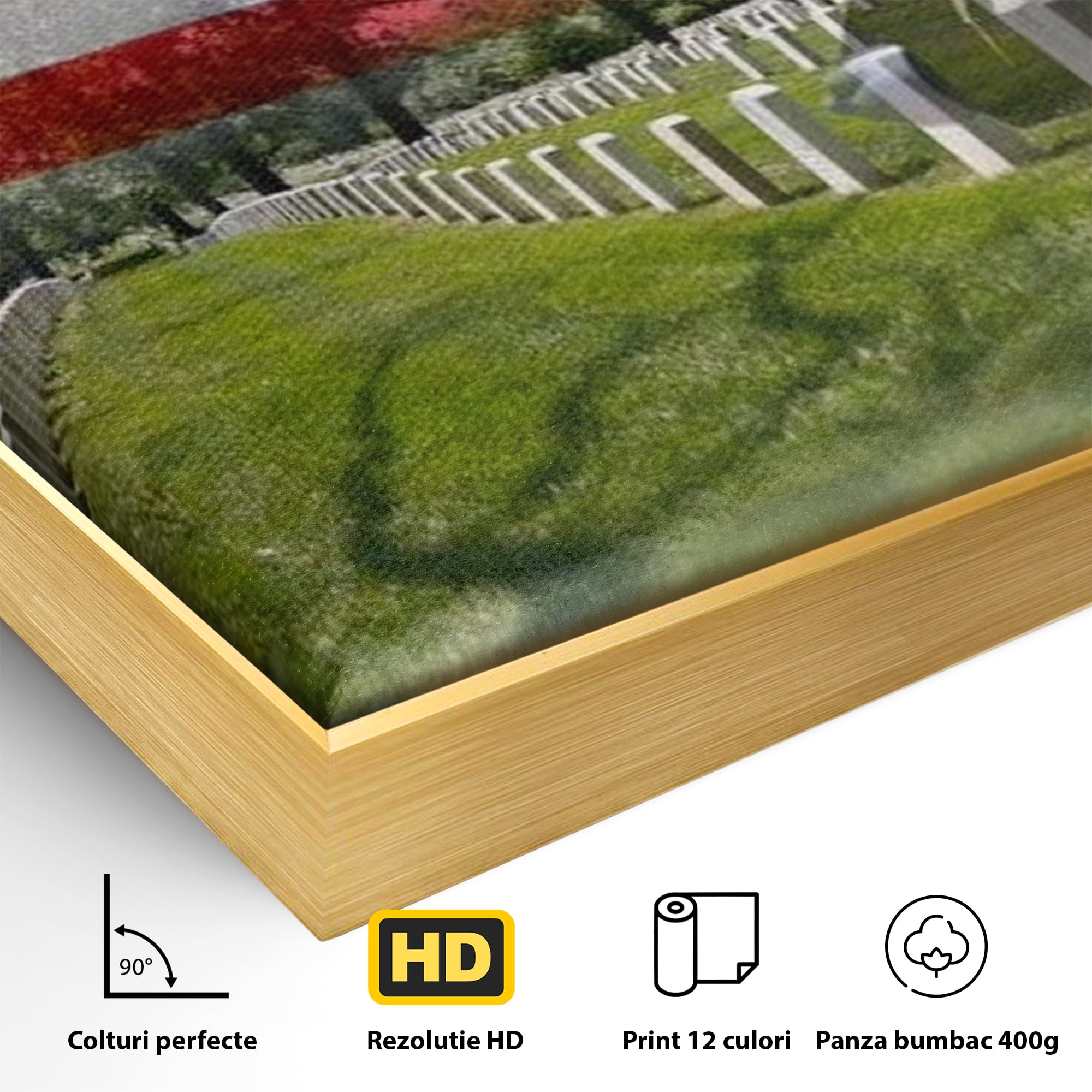 Detaliu al suprafetei: tablou canvas cu silueta de soldat si steagul sua, in rama de aluminiu auriu