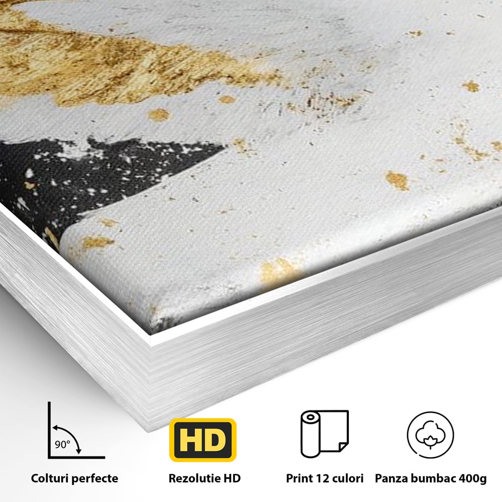 Detaliu al suprafetei: tablou canvas cu lebada si auriu, in rama de aluminiu argintiu