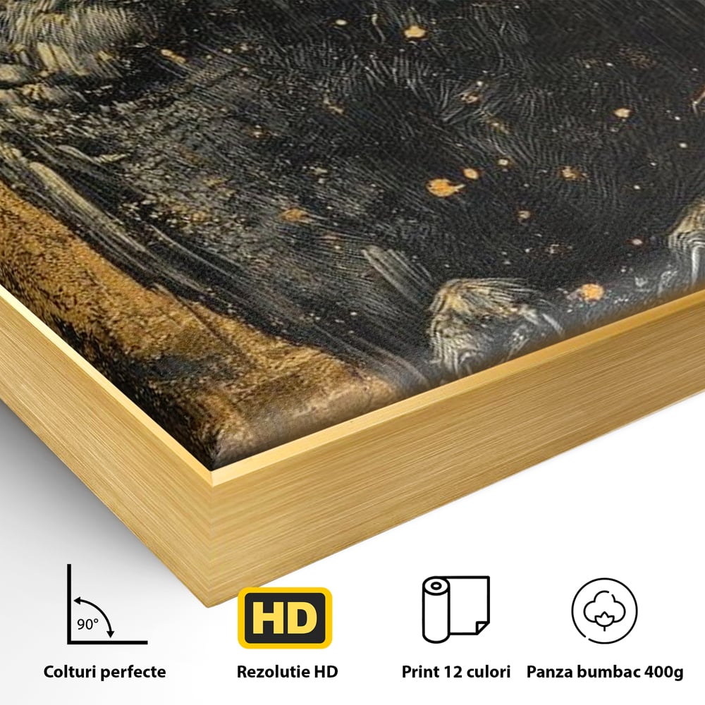 Detaliu al suprafetei: tablou canvas cu bufnita neagra si fundal auriu, in rama de aluminiu auriu
