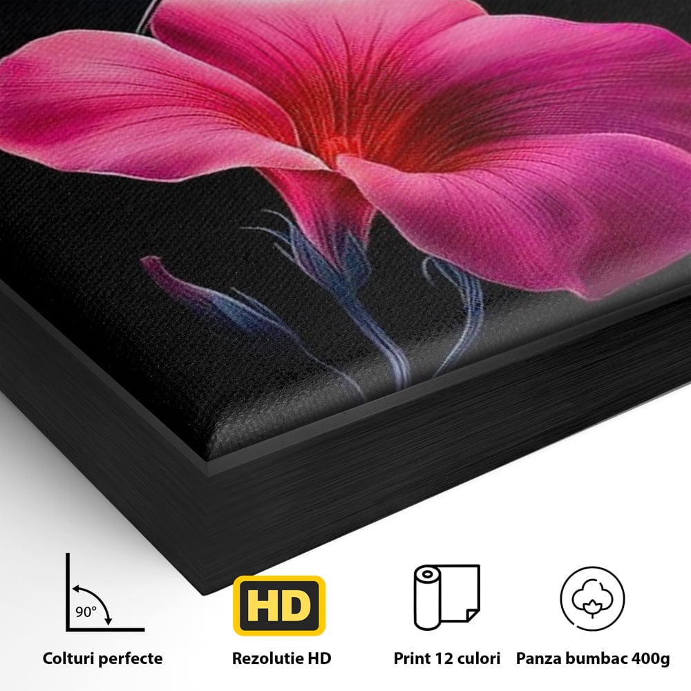 Detaliu al suprafetei: ilustratie digitala cu colibri si floare roz, in rama de aluminiu negru
