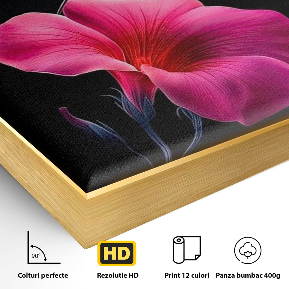 Detaliu al suprafetei: ilustratie digitala cu colibri si floare roz, in rama de aluminiu auriu