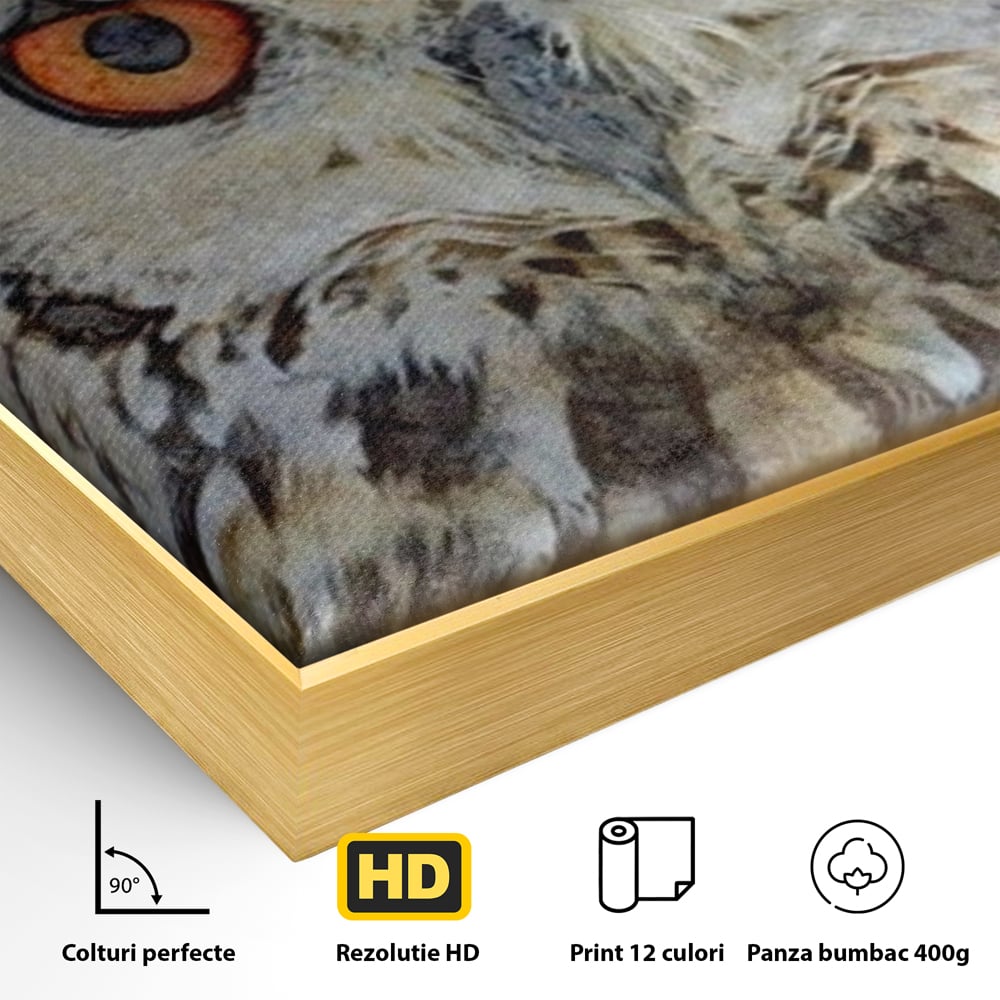 Detaliu al suprafetei: tablou canvas cu bufnita pictata, in rama de aluminiu auriu