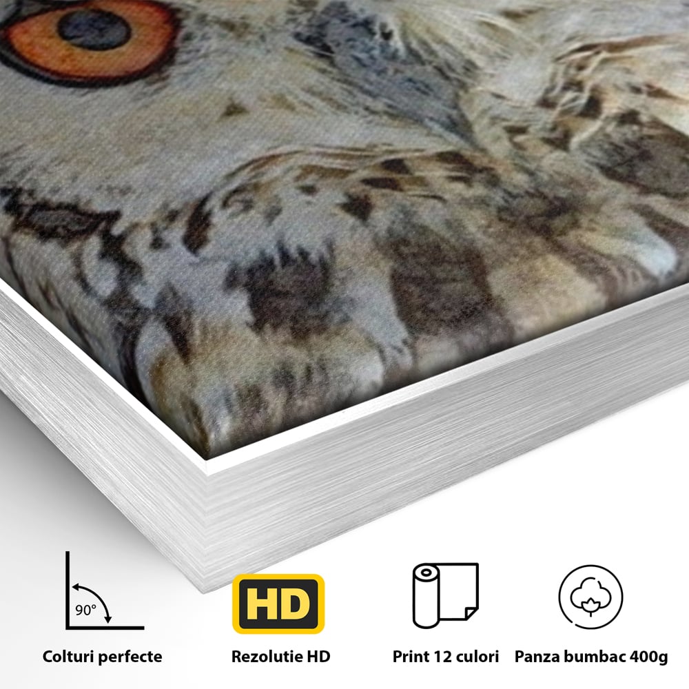Detaliu al suprafetei: tablou canvas cu bufnita pictata, in rama de aluminiu argintiu
