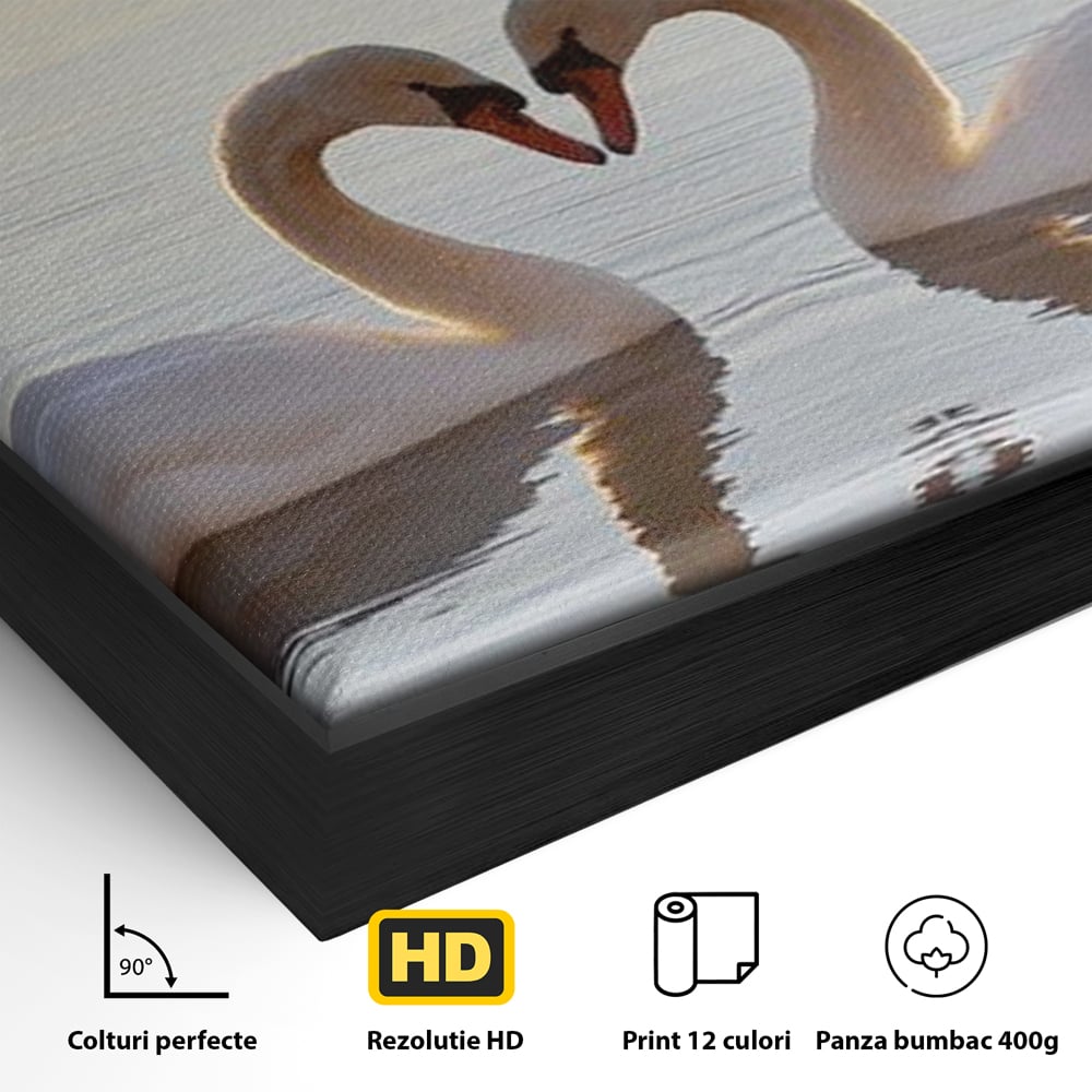 Detaliu al suprafetei: tablou canvas cu lebede pe lac, in rama de aluminiu negru