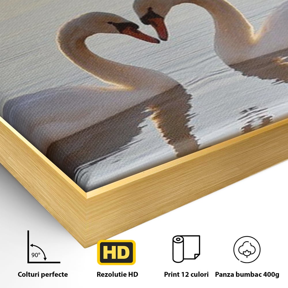 Detaliu al suprafetei: tablou canvas cu lebede pe lac, in rama de aluminiu auriu