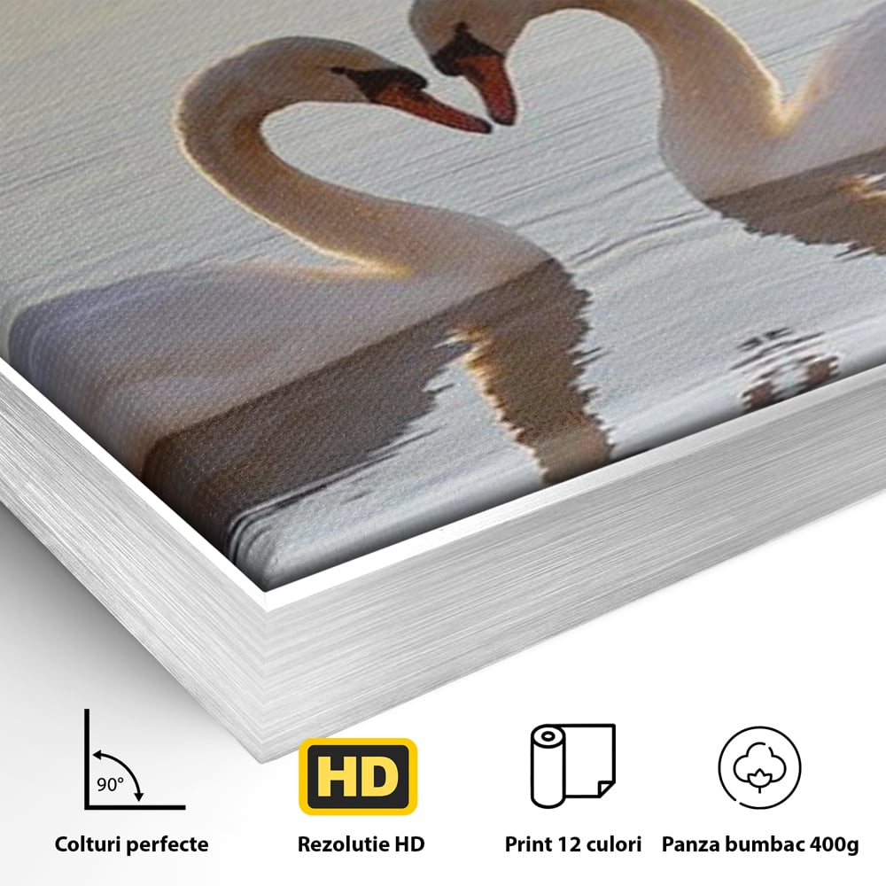 Detaliu al suprafetei: tablou canvas cu lebede pe lac, in rama de aluminiu argintiu