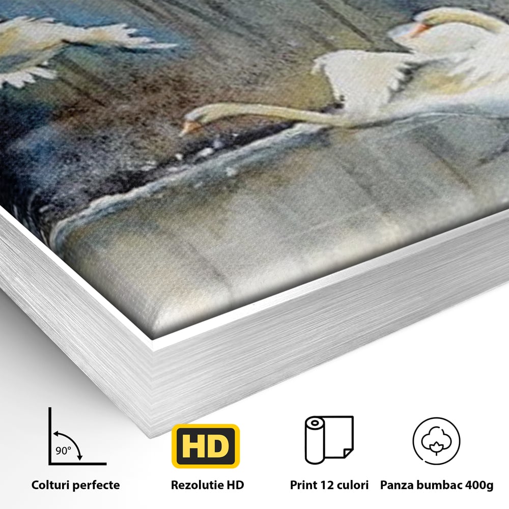 Detaliu al suprafetei: pictura cu lebede pe apa, in rama de aluminiu argintiu