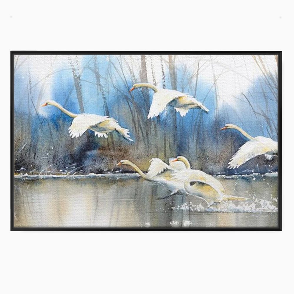 Tablou canvas cu pictura cu lebede pe apa, in rama de aluminiu negru