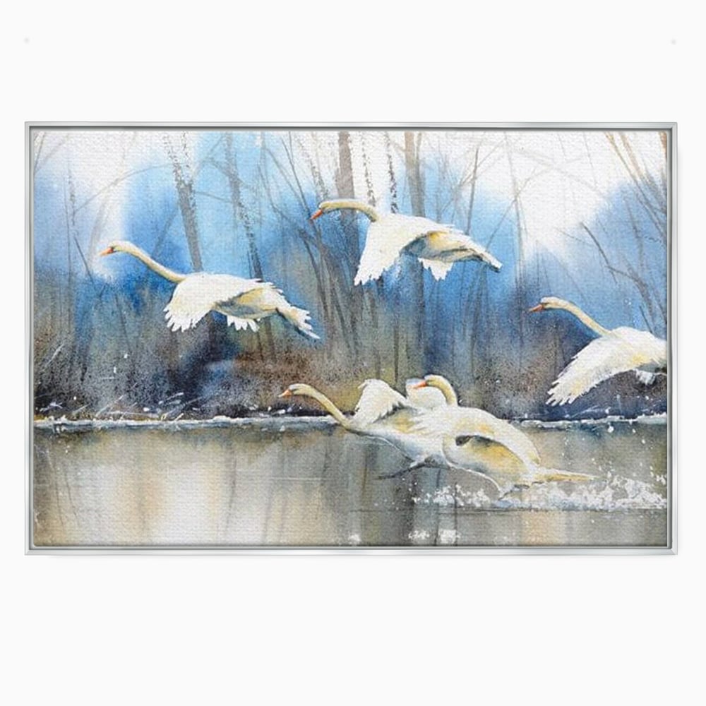 Tablou canvas cu pictura cu lebede pe apa, in rama de aluminiu argintiu