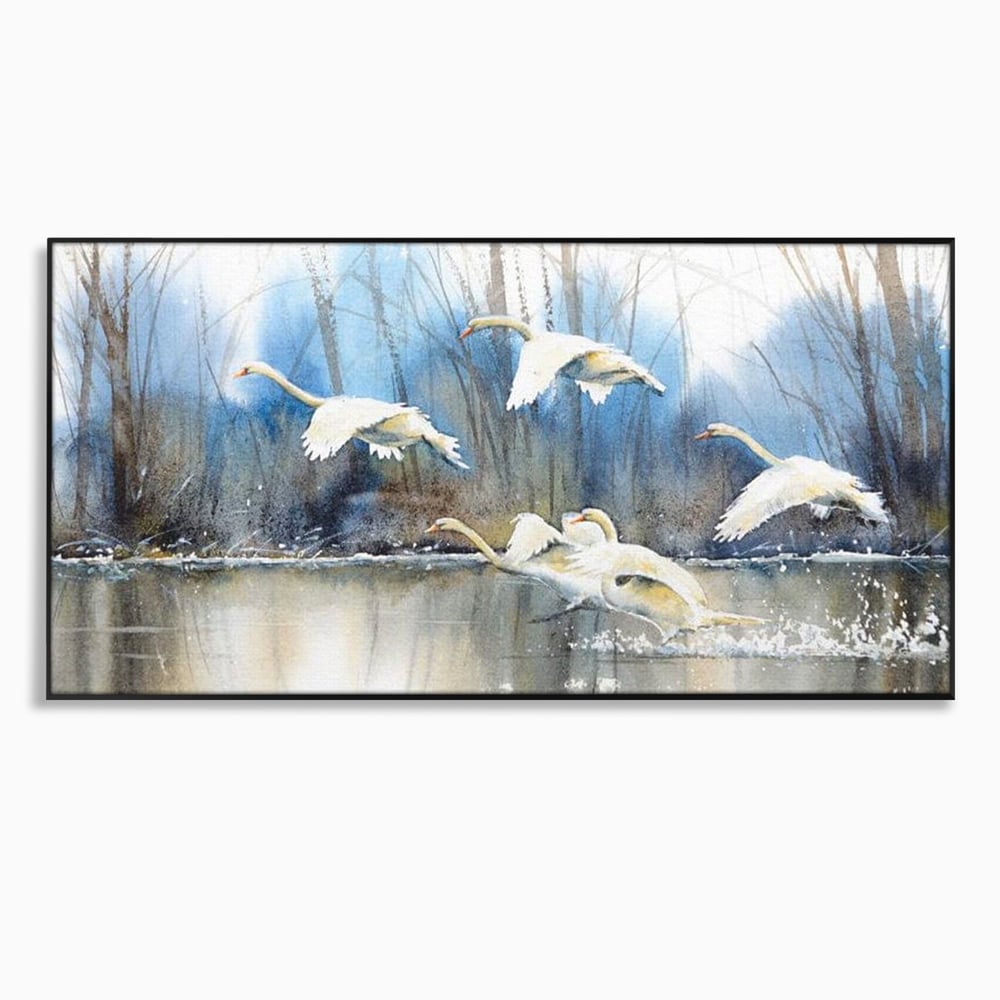 Tablou canvas cu pictura cu lebede pe apa, in rama de aluminiu negru