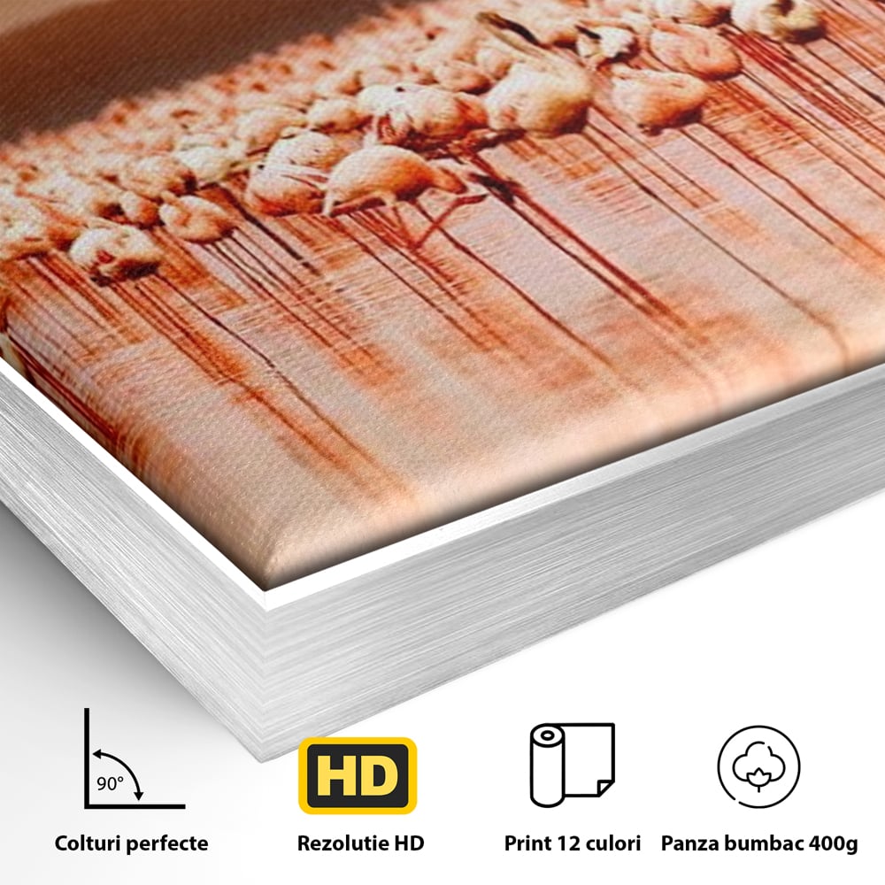 Detaliu al suprafetei: tablou canvas cu stol de flamingo la apus, in rama de aluminiu argintiu