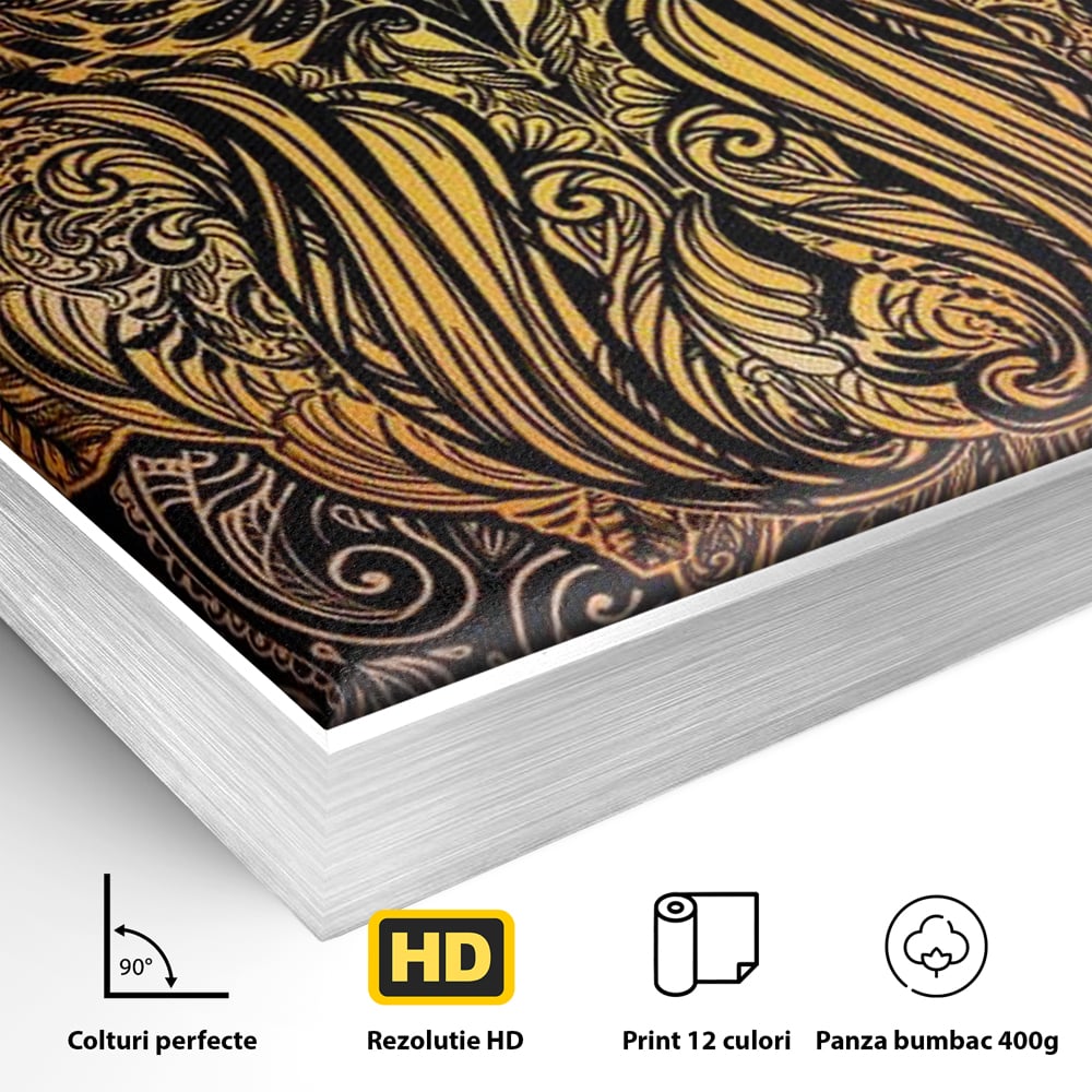 Detaliu al suprafetei: tablou canvas cu bufnita ornamentala, in rama de aluminiu argintiu