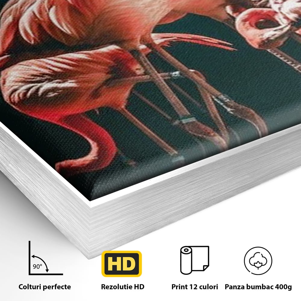 Detaliu al suprafetei: tablou canvas cu flamingo roz, in rama de aluminiu argintiu