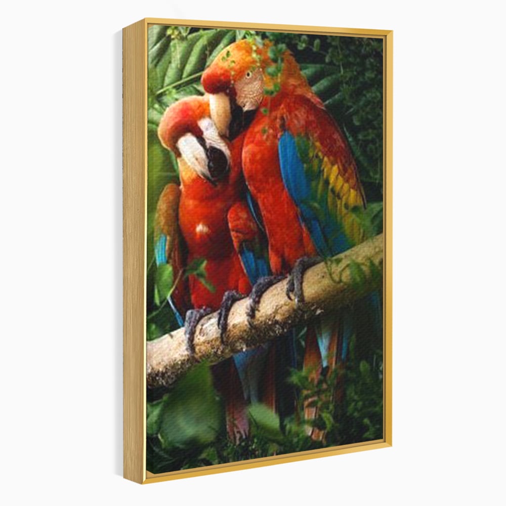 Tablou canvas cu doi papagali pe o creanga, in rama de aluminiu auriu