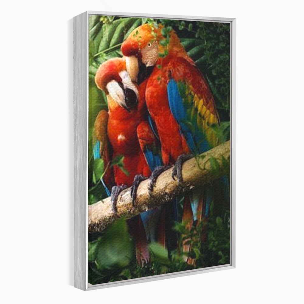 Tablou canvas cu doi papagali pe o creanga, in rama de aluminiu argintiu