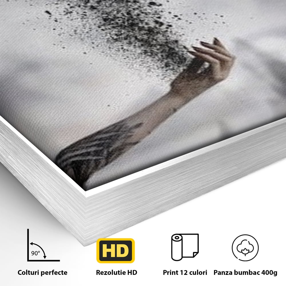 Detaliu al suprafetei: tablou canvas cu pasare si mana din cenusa, in rama de aluminiu argintiu