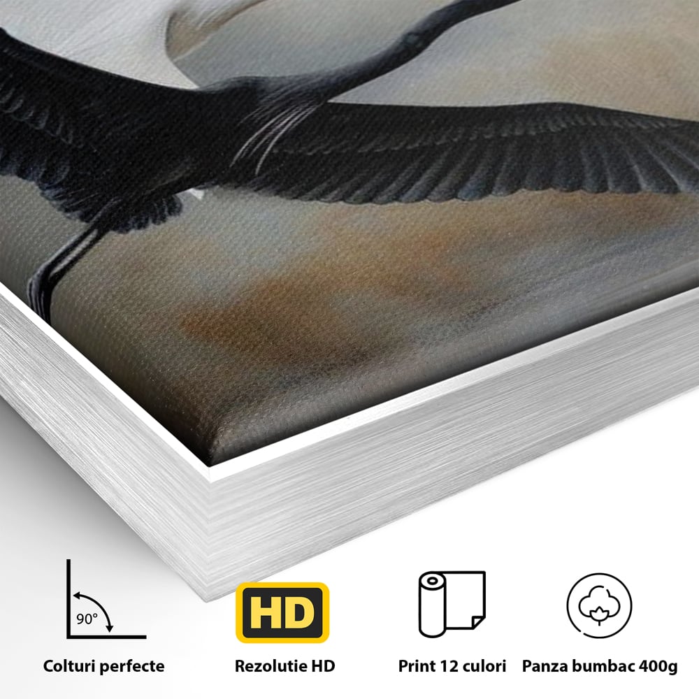 Detaliu al suprafetei: tablou canvas cu doua pasari in zbor, in rama de aluminiu argintiu
