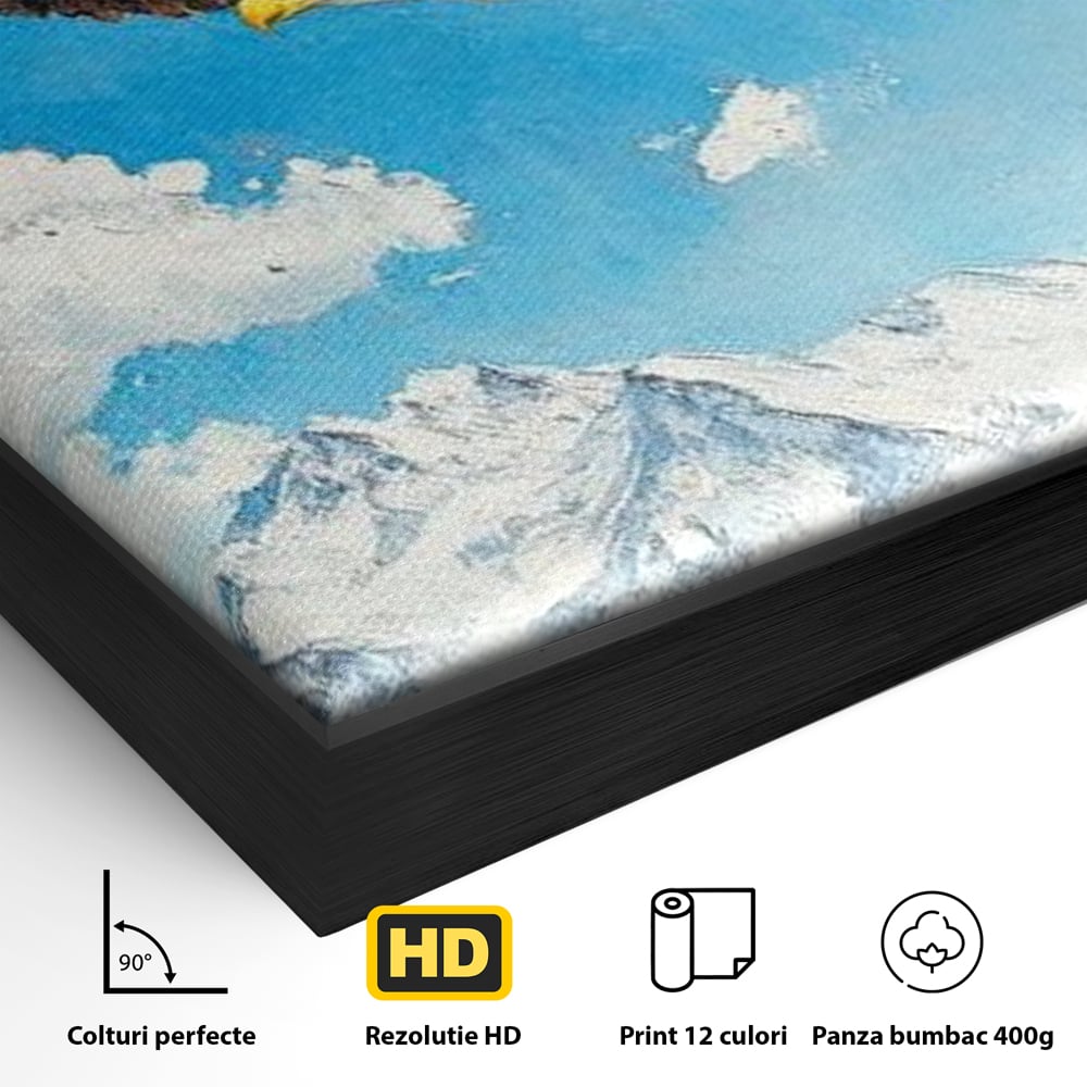 Detaliu al suprafetei: tablou canvas cu vultur in zbor deasupra muntilor, in rama de aluminiu negru