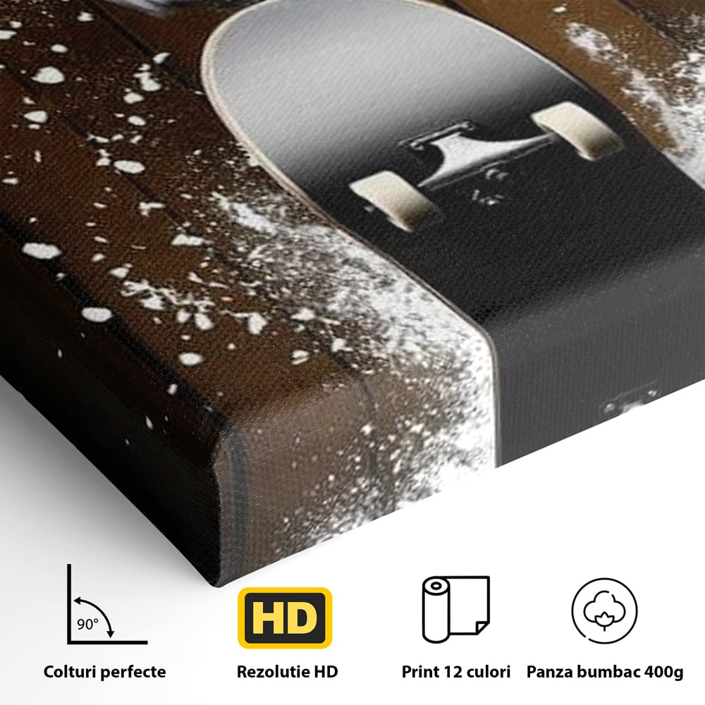Detaliu al suprafetei: tablou canvas cu bufnita pe skateboard, fara rama, pe sasiu de lemn