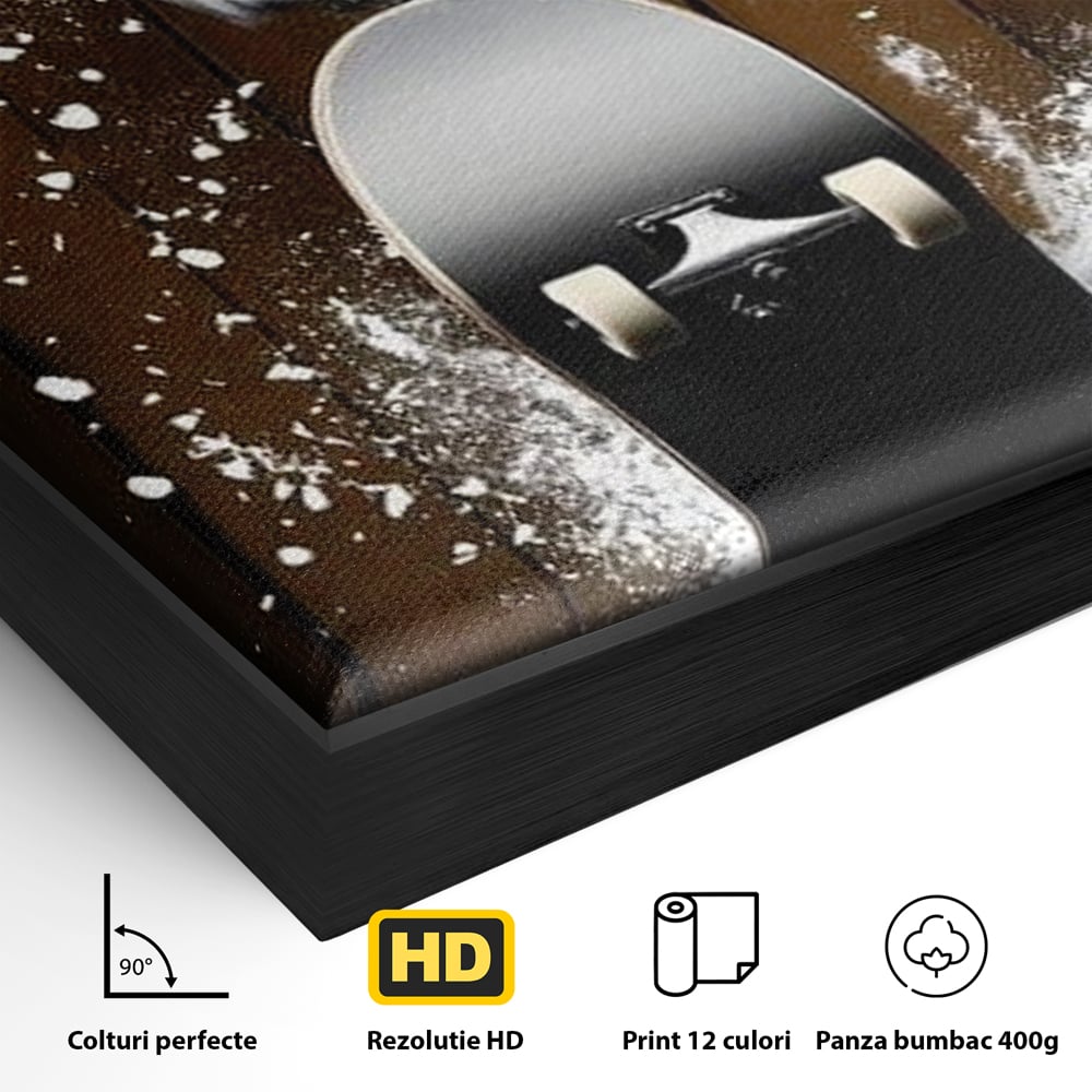 Detaliu al suprafetei: tablou canvas cu bufnita pe skateboard, in rama de aluminiu negru
