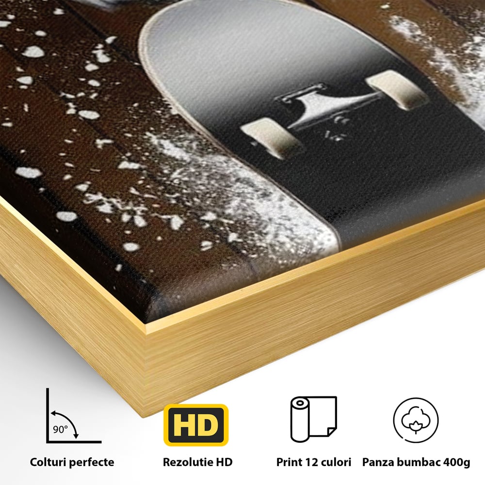 Detaliu al suprafetei: tablou canvas cu bufnita pe skateboard, in rama de aluminiu auriu