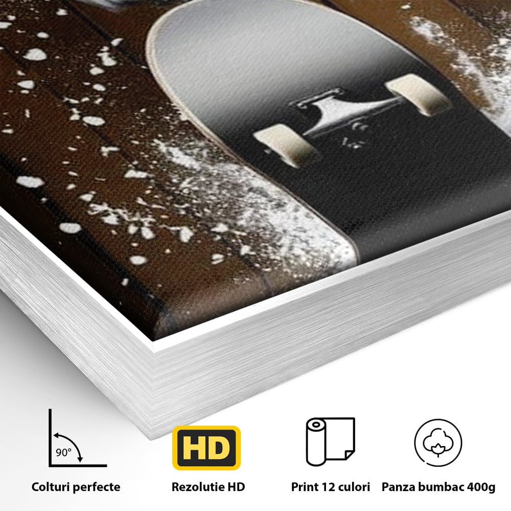 Detaliu al suprafetei: tablou canvas cu bufnita pe skateboard, in rama de aluminiu argintiu