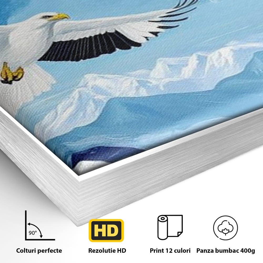 Detaliu al suprafetei: tablou canvas cu vultur in zbor peste munti, in rama de aluminiu argintiu