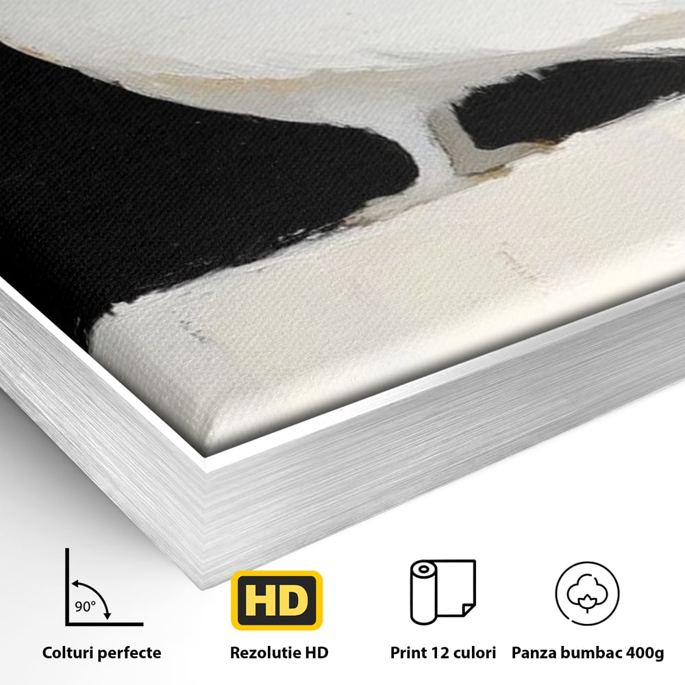 Detaliu al suprafetei: tablou canvas cu bufnita alba, in rama de aluminiu argintiu