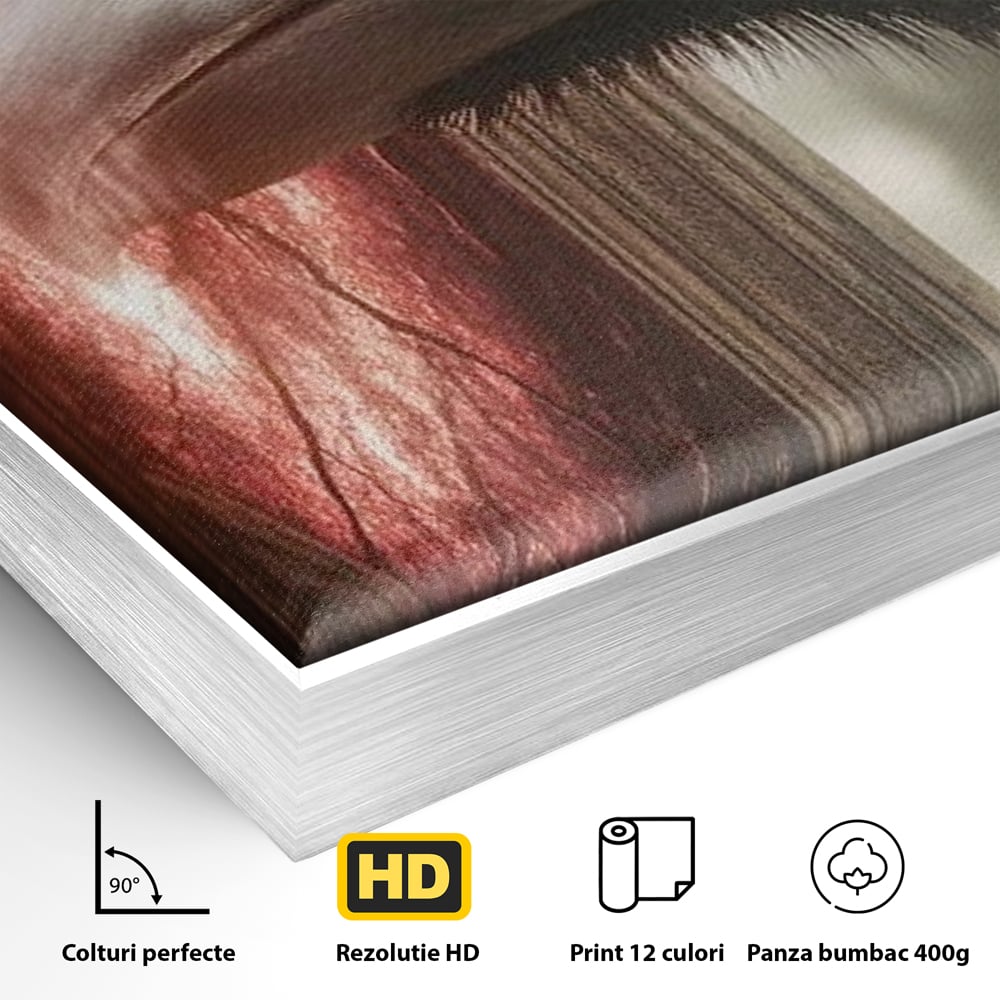 Detaliu al suprafetei: tablou canvas cu un corb si portal rosu, in rama de aluminiu argintiu