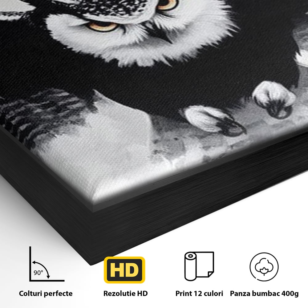 Detaliu al suprafetei: tablou canvas cu bufnita in zbor, in rama de aluminiu negru