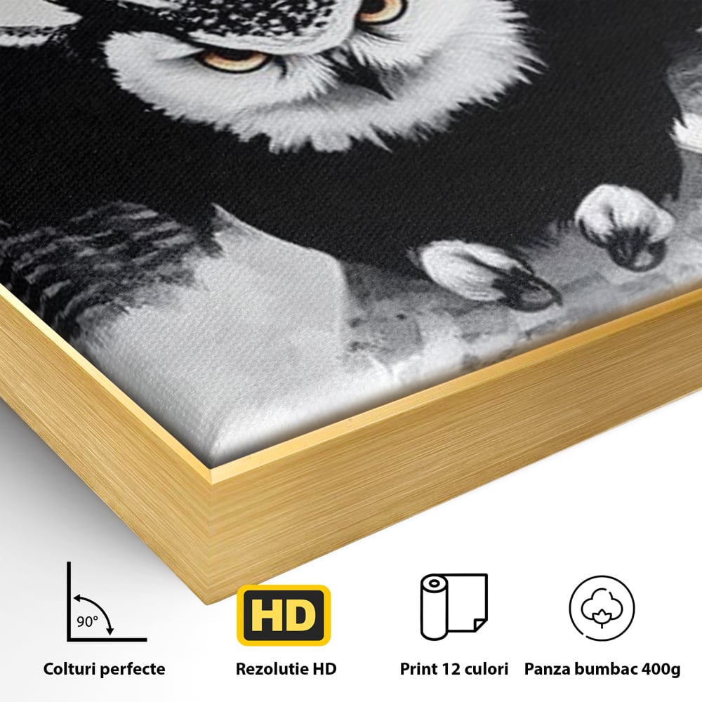 Detaliu al suprafetei: tablou canvas cu bufnita in zbor, in rama de aluminiu auriu