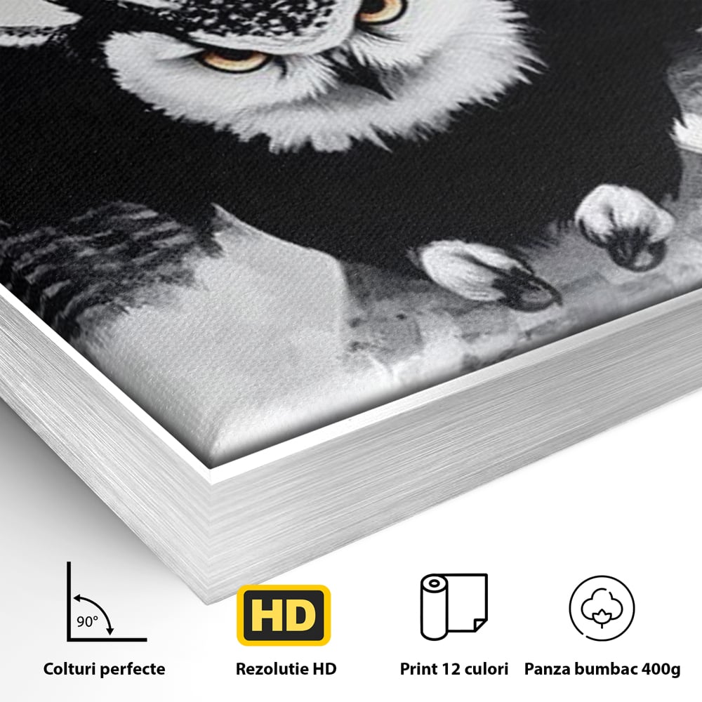 Detaliu al suprafetei: tablou canvas cu bufnita in zbor, in rama de aluminiu argintiu