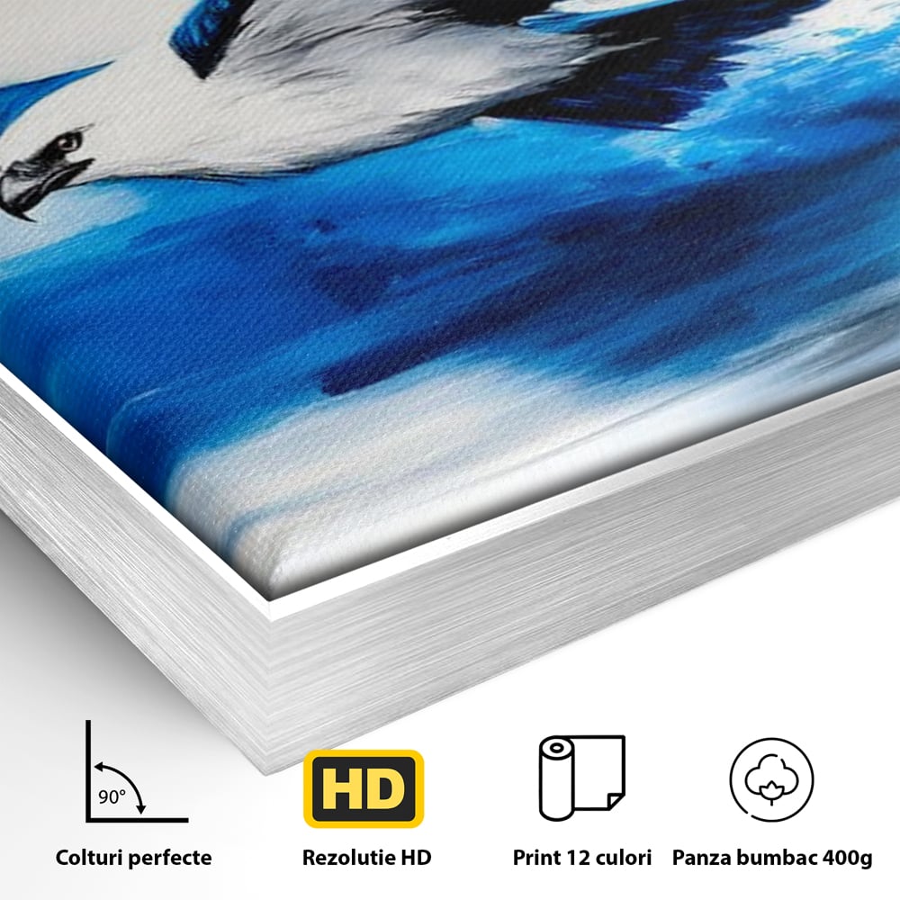 Detaliu al suprafetei: tablou canvas cu vultur zburand peste apa, in rama de aluminiu argintiu