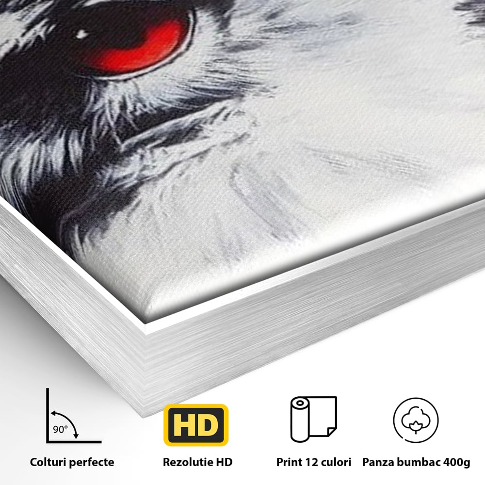 Detaliu al suprafetei: tablou canvas cu vultur si ochi rosu, in rama de aluminiu argintiu