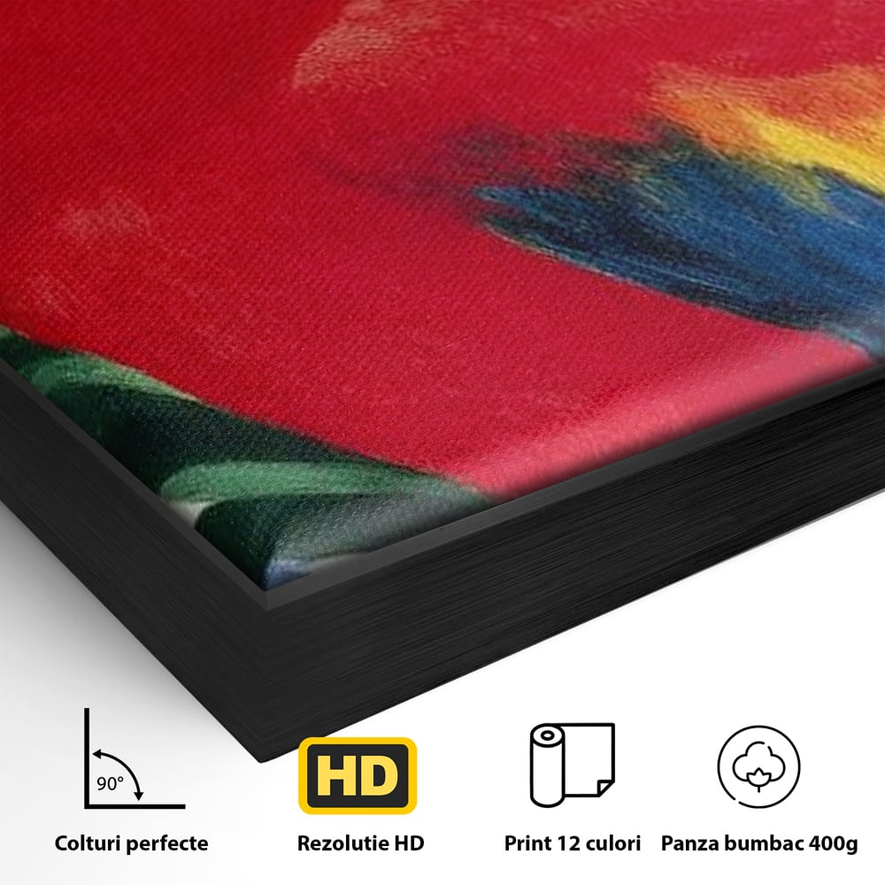 Detaliu al suprafetei: tablou canvas cu papagal rosu, in rama de aluminiu negru