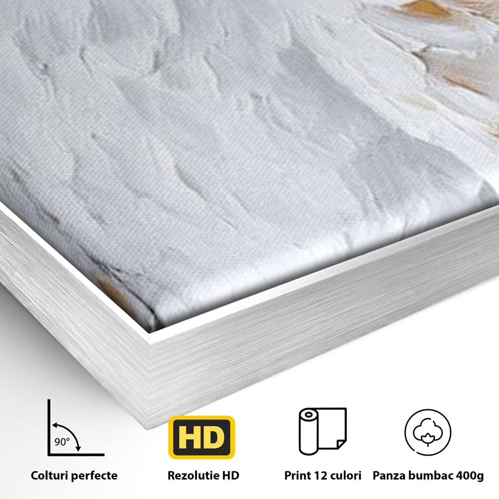 Detaliu al suprafetei: tablou canvas cu vultur alb, in rama de aluminiu argintiu