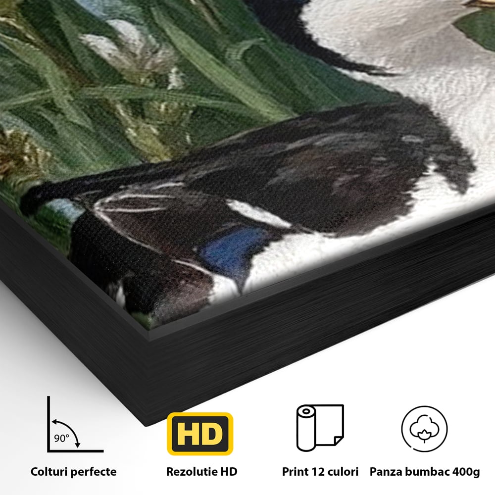Detaliu al suprafetei: tablou canvas cu rata pe lac si flori de iris, in rama de aluminiu negru
