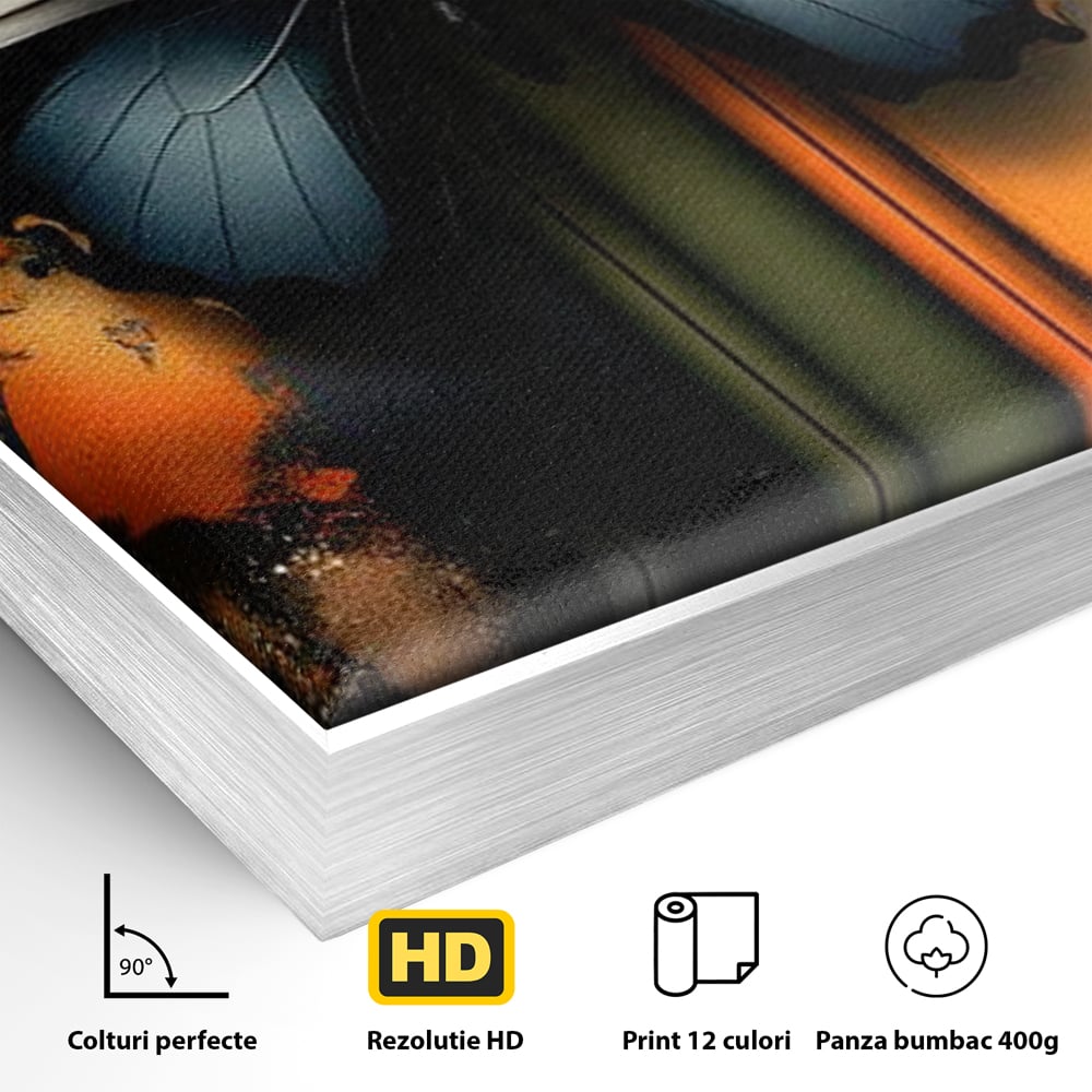 Detaliu al suprafetei: tablou canvas cu fluture si linii colorate, in rama de aluminiu argintiu