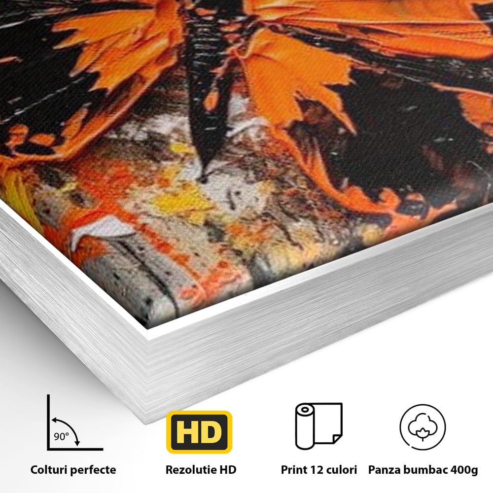 Detaliu al suprafetei: tablou canvas cu fluture portocaliu pe fundal antracit, in rama de aluminiu argintiu