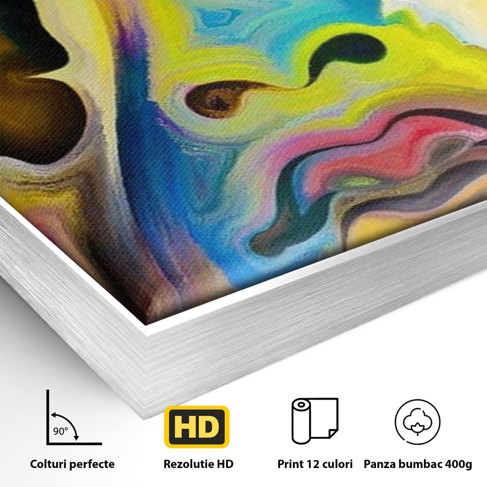 Detaliu al suprafetei: tablou canvas cu chip abstract si fluture, in rama de aluminiu argintiu