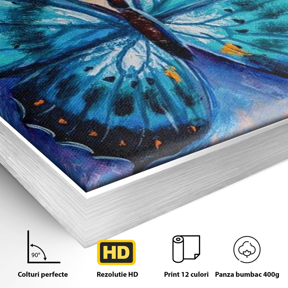 Detaliu al suprafetei: tablou canvas cu fluture albastru, in rama de aluminiu argintiu