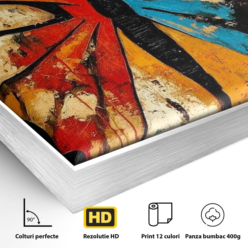 Detaliu al suprafetei: tablou canvas cu fluture stilizat in culori vii, in rama de aluminiu argintiu