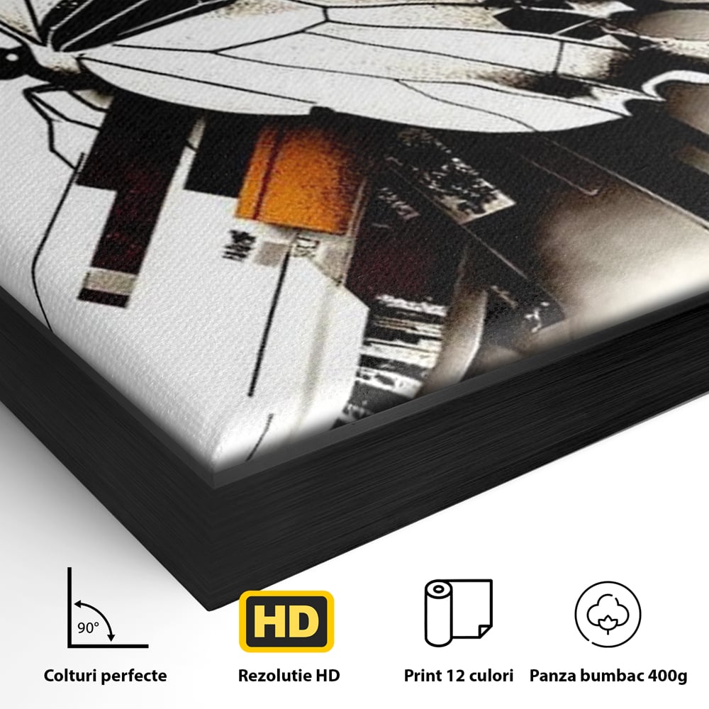 Detaliu al suprafetei: ilustratie digitala cu fluture si linii geometrice, in rama de aluminiu negru