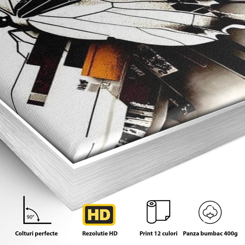 Detaliu al suprafetei: ilustratie digitala cu fluture si linii geometrice, in rama de aluminiu argintiu