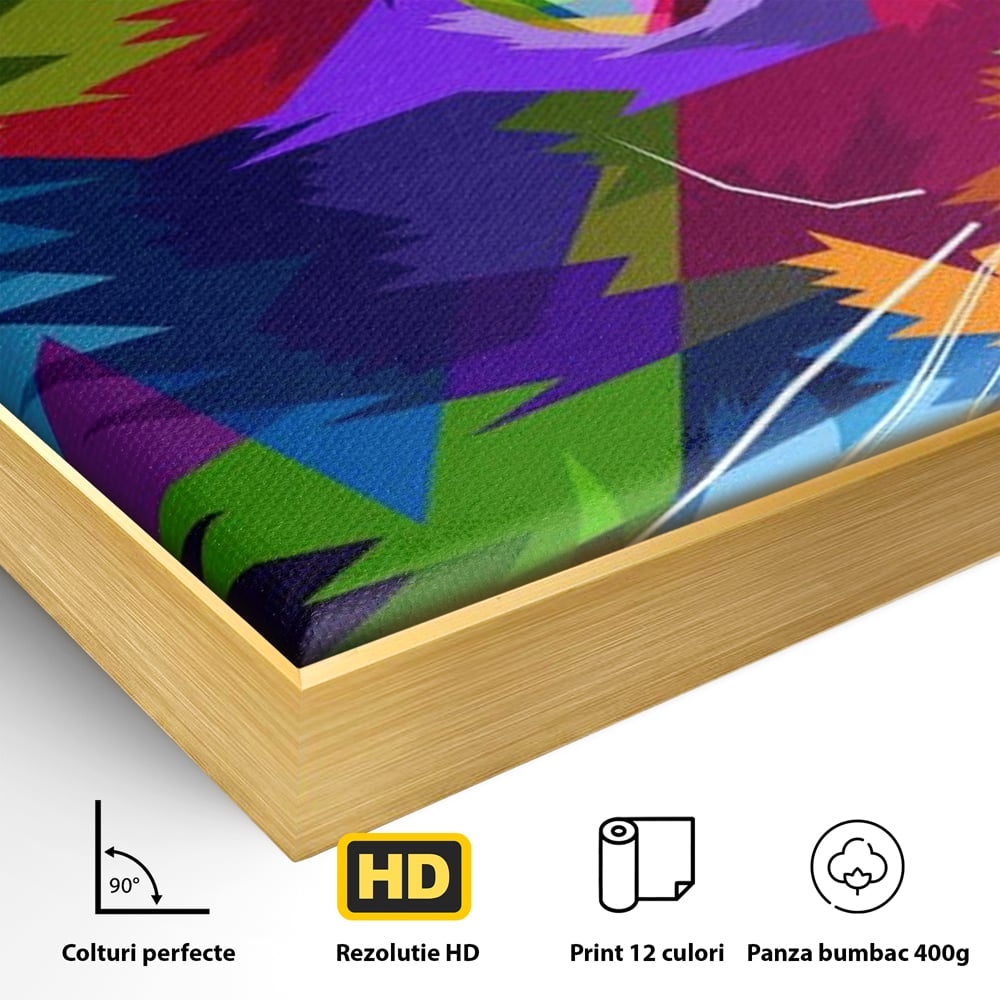 Detaliu al suprafetei: tablou canvas cu pisica pop art, in rama de aluminiu auriu