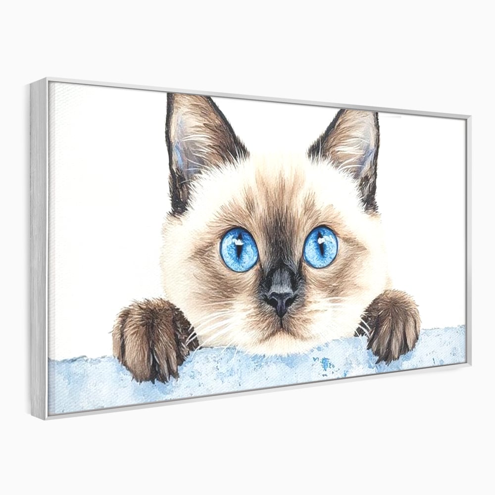 Tablou canvas cu tablou canvas cu pisica siameza si ochi albastrii, in rama de aluminiu argintiu
