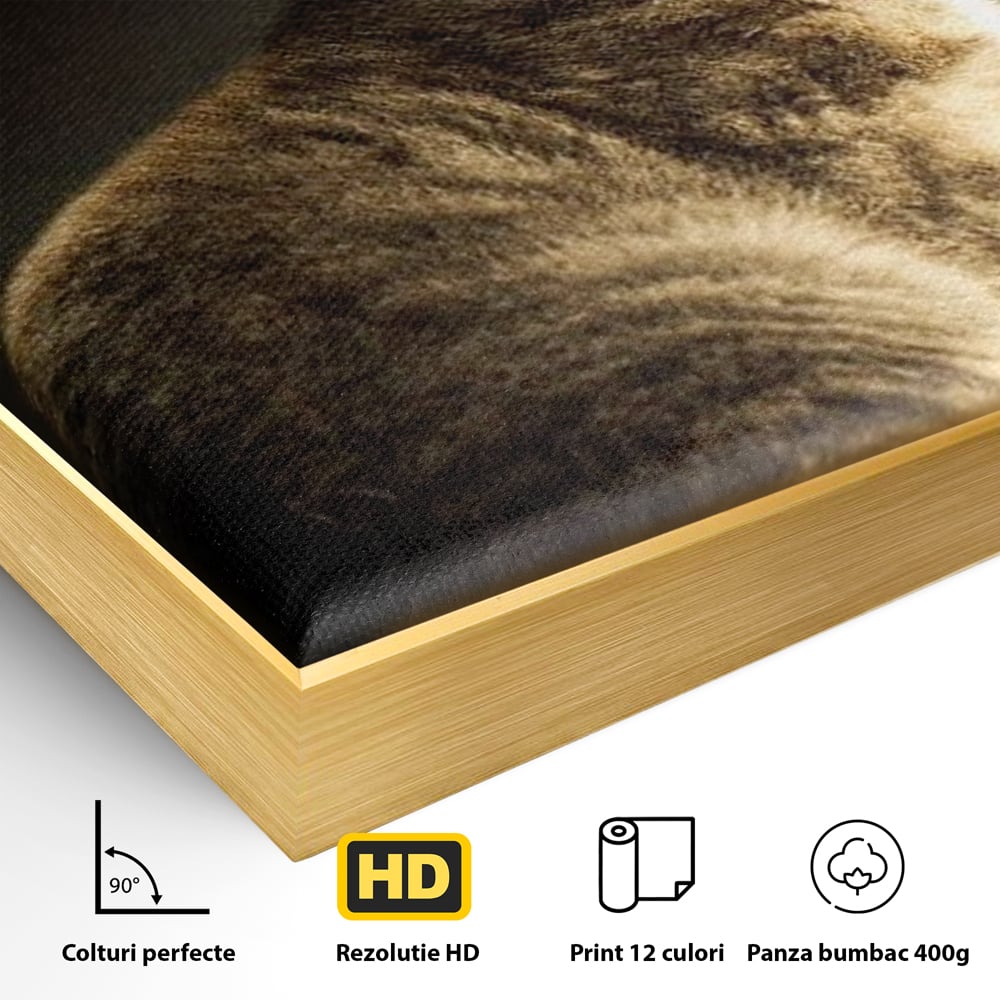 Detaliu al suprafetei: tablou canvas cu pisica si fluture, in rama de aluminiu auriu